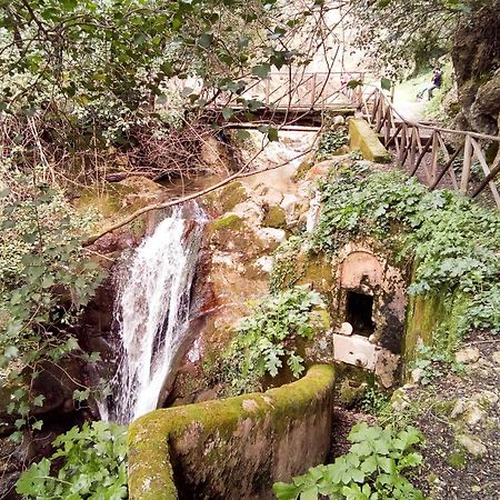 Hotel Grazia Eboli Dış mekan fotoğraf