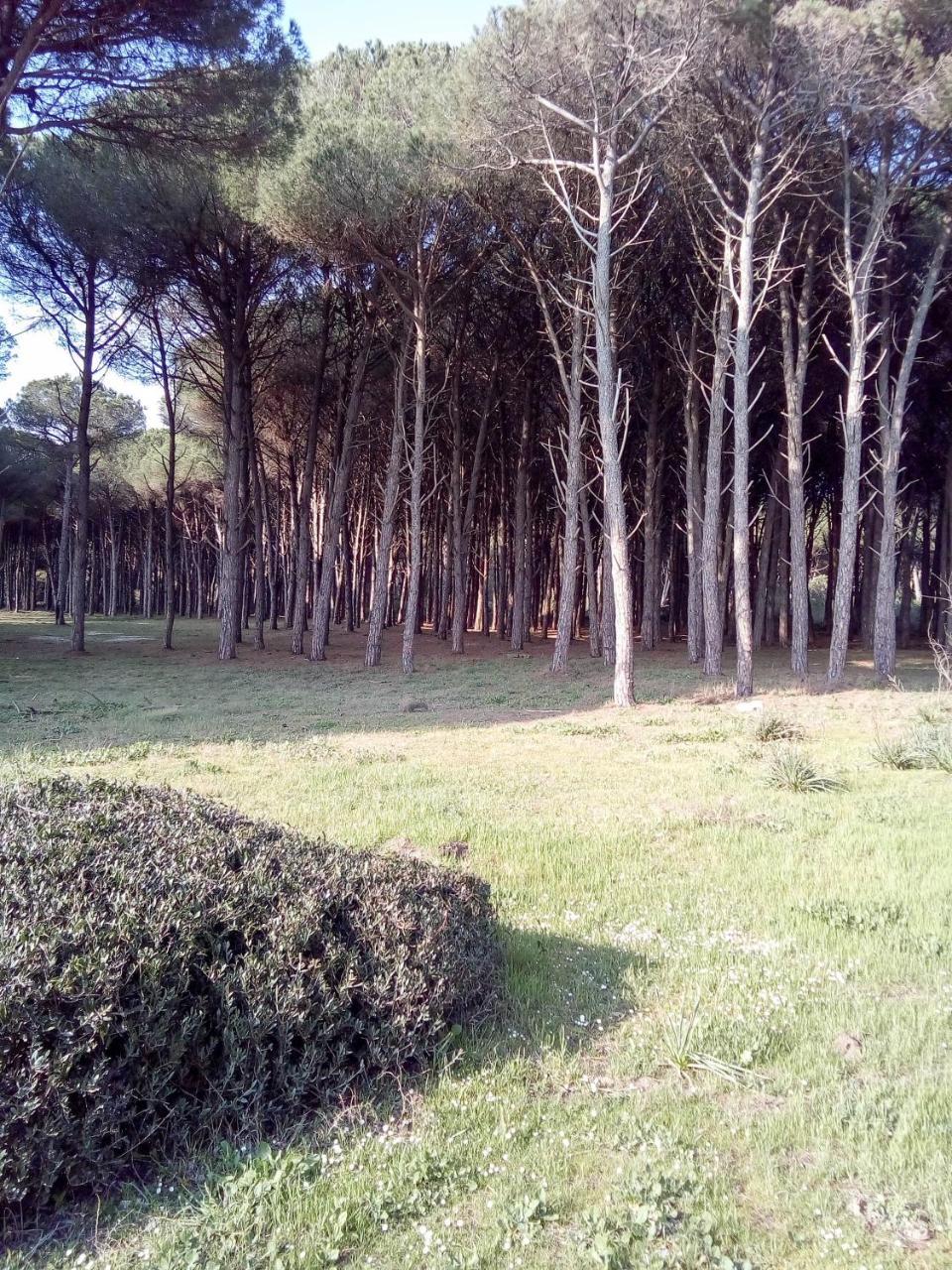 Hotel Grazia Eboli Dış mekan fotoğraf