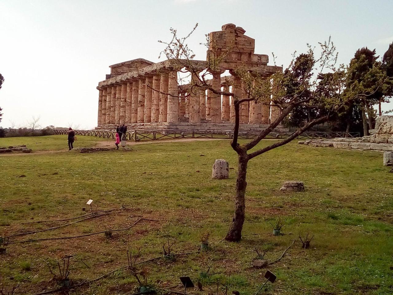 Hotel Grazia Eboli Dış mekan fotoğraf